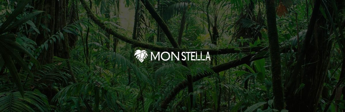 MONSTELLA
